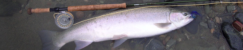 fish with rod