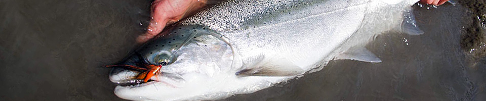 Tube Flies for Steelhead